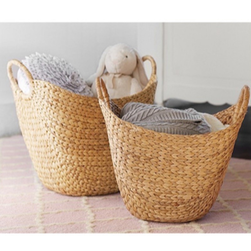 Ciseán Hyacinth Uisce Níocháin