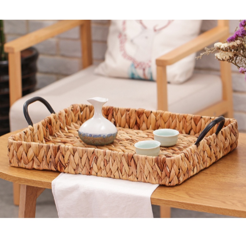 Tráidire Taispeána Hyacinth Uisce