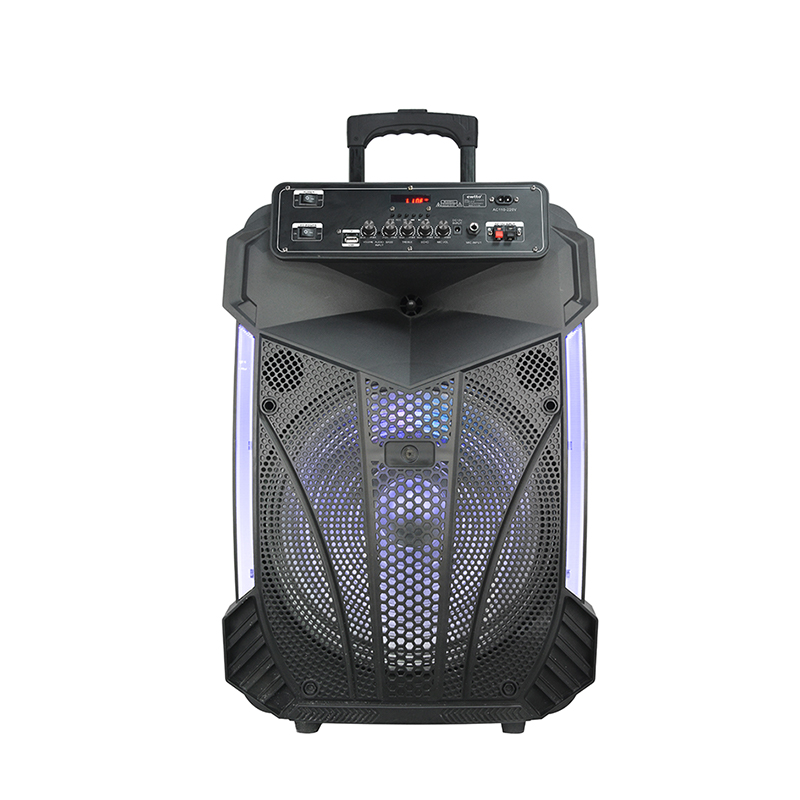 Katseruumi spiiker Y-K9-12ZH