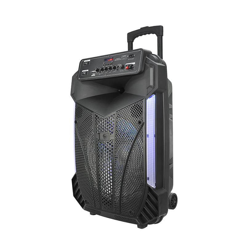 Katseruumi spiiker Y-K9-12ZH