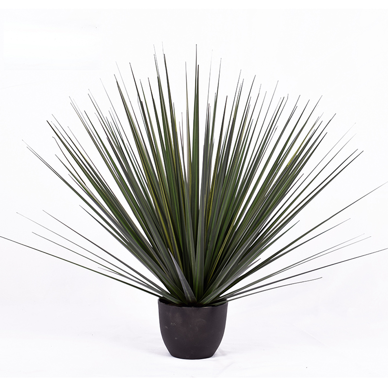 OH109200001/ OH10920002/ OH10920003