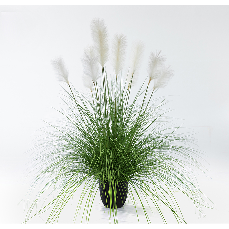 OH10920017/ OH1010920018