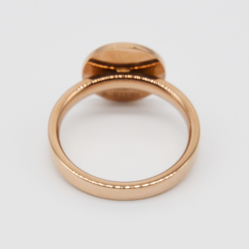 Roostevabast terasest kummist rõngas rfbrg1077