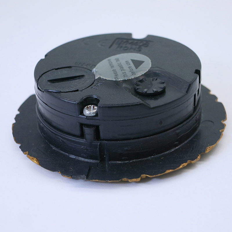 53mm antiikne ploomiõis, nõela nõelakell