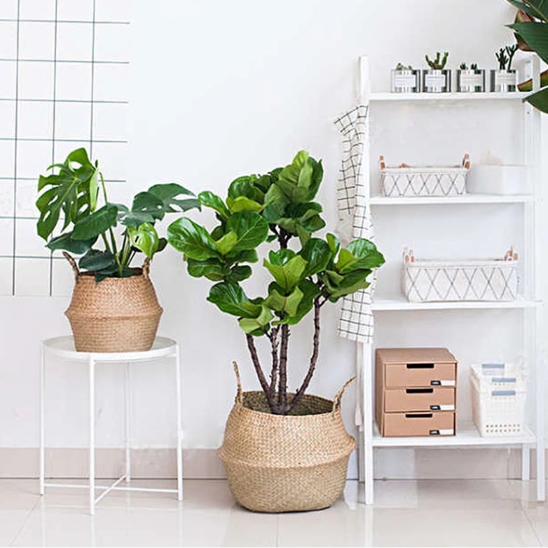 Seastán pota bláthanna maisiúchán tí ciseán stórála féar mara crochta ubhchruthach