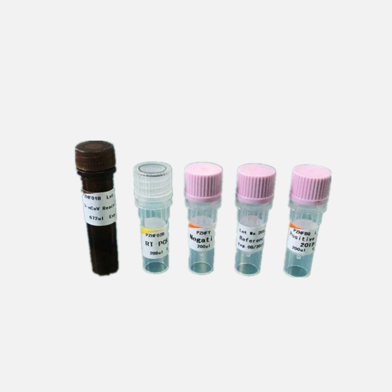 Mis saab patsiendist, kellel on uus kroon?Kuidas tõlgendada seerumi IgG ja IGM tulemusi