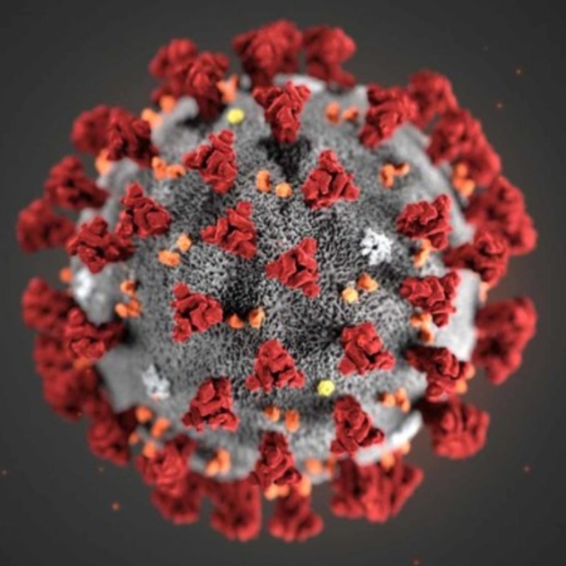 \\ Killer lahtrid\\ võivad olla kaitstud COVID-19 vastu