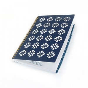 leabhar oibre clúdach log