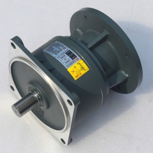 Laghdaitheoir Luais Ingearach Gearmotor CVM