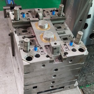 Bhí múnlú insteallta gabhálais plaisteacha PP ABS ag teastáil ó ionstraimí ultrafhuaime míochaine saincheaptha