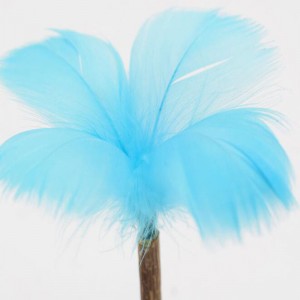 Cat Mint Mint Tumbler Lollipop