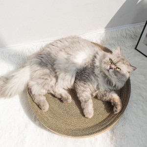 Bowl Grabs Cat Cherry