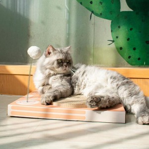 Culaith bhoird scratch cat