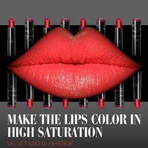 Lipstick lipéad príobháideach fada buan