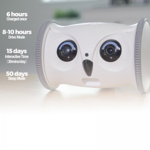 Sitter Robot Owl Cliste