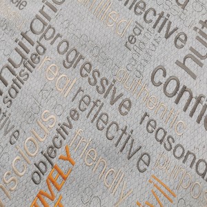 BNT6863 bróidnithe cadáis