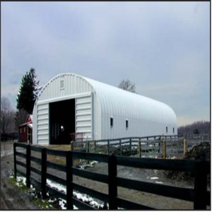 Struchtúr Faoisimh Éigeandála