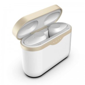 FB-Begfl1 Cluasáin TWS ard-deireadh le feidhm anc