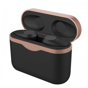 FB-Begfl1 Cluasáin TWS ard-deireadh le feidhm anc