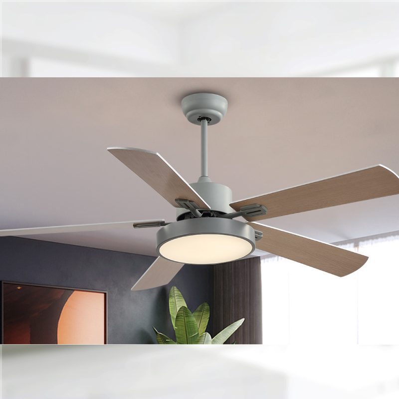 Fan Solas FL Z BS5671C 42