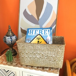 Bosca Stórála Feamainne