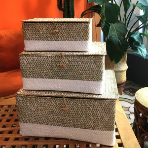 Bosca fite feamainn le stóráil clúdaithe