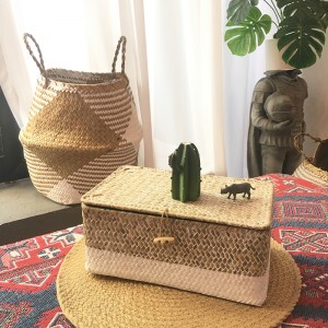 Bosca fite feamainn le stóráil clúdaithe