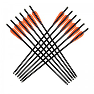 Elong Outdoor 117001 17Inch 8850 Fiberglass Bolt Bolt Bolling Trealamh Crossbow Bolt