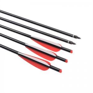 Elong Allamuigh 114470 18Inch Alúmanam Bolt Bolt Bollts Crossbow Bolts Allamuigh