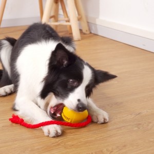 Rubar ag sceitheadh ​​bréagán madraí sneaice