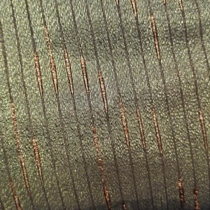 Athchúrsáil Poileistear