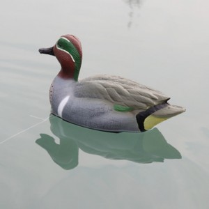 Ourda Insamhladh Fiach Ouroy 12.5