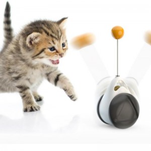 2021 Cat Cat Nua Cat Cat Cothrom Chasadh Cat Chasing Toy Idirghníomhach Swing Kitten Swing
