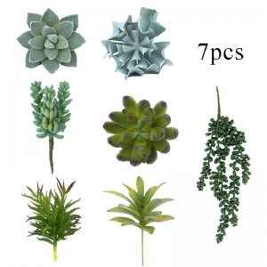 Succulent saorga insamhalta ard