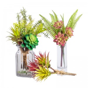 Succulent saorga insamhalta ard