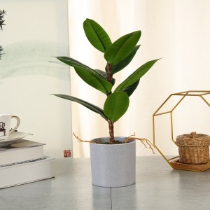 Díolachán iomlán a dhírigh ar ghléasra saorga i bpota