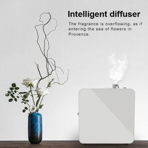 DF-1000aroma Diffuser