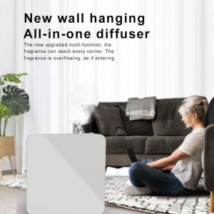 DF-1000aroma Diffuser