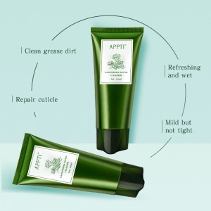 Lipéad príobháideach frith acne aló aló vera aghaidhnigh ghlanadh facial GANODERMA Essence Fash Nigh