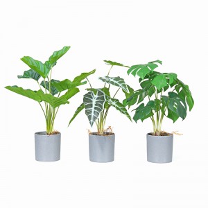 Soláthraíonn an mhonarcha go díreach díol te glas saorga maisiúil le mothúchán deas agus fíor-theagmhálach