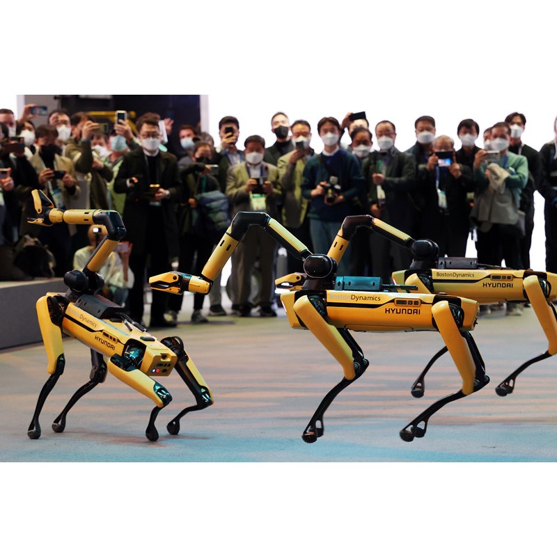 Cineálnua soghluaisteachta ar taispeáint ag CES 2022