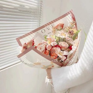 Páipéar Fíocháin Páipéar Páipéar Páipéar Páipéar Multicolor Páipéar 30G N35G Kraft Páipéar Glitter Páipéar Lógó Priontáil Páipéar Priontáil Páipéar White \\\\ t