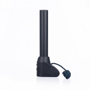 Síneadh Crainn le haghaidh Windsurfing