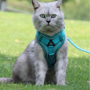 Faisean PET Vest Cineál Trating Trating Cineál Strap Cat Madraí Coigeartaithe Tarraingteach Tarraingteach Téad Rope Rope Rope Collar