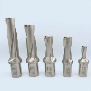 3d u druil isteach spmg