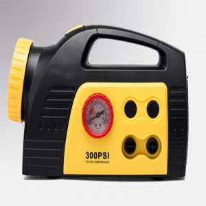 Caidéal Boilscithe Boinn Iniompartha (C25B)