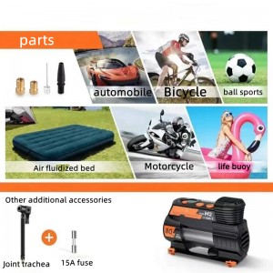 Caidéal Boilscithe Boinn Iniompartha (M2)