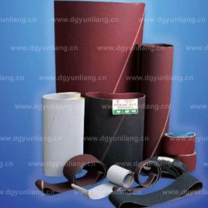 Criosanna sanding leathan