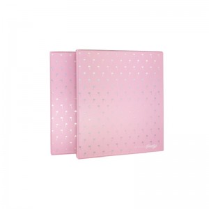 Fillteán Comhad Arch Plaisteach Plaisteach A4 Scoil A4 Méid