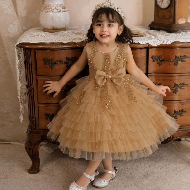Gúna Breithlá Pháirtí Breithlá Baige Baigenaíonán Tutu Banphrionsa Cailín Flower Gúna Bainise N2118
